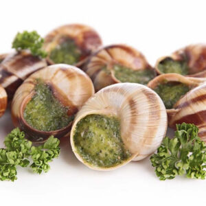 French Burgundy Snails - without shell - 800g/1.77lb